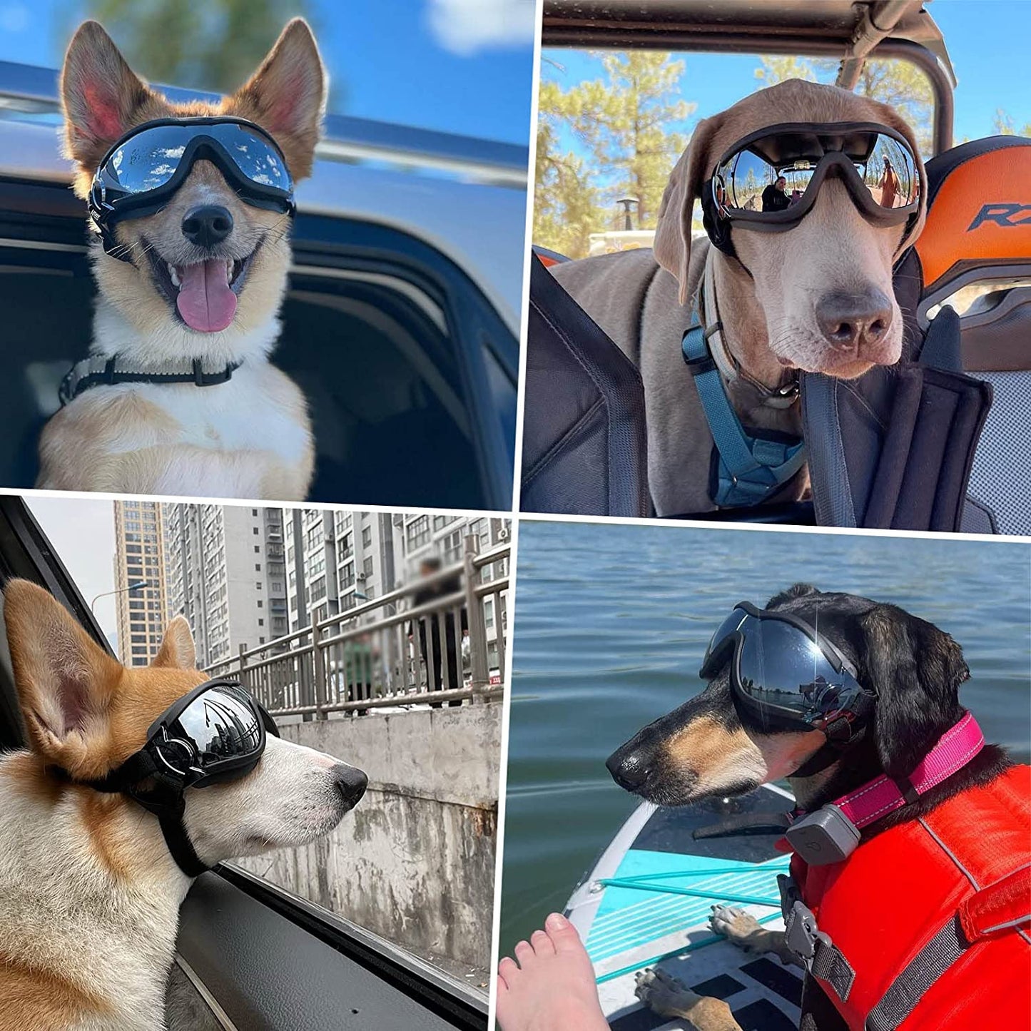 Large Breed Dog Goggles!