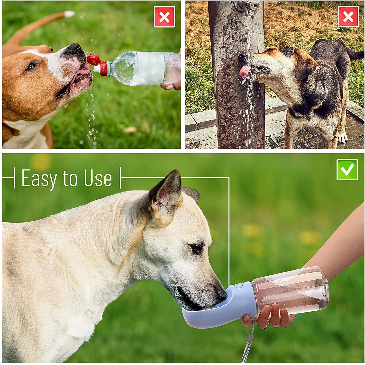 Dog Water Bottle