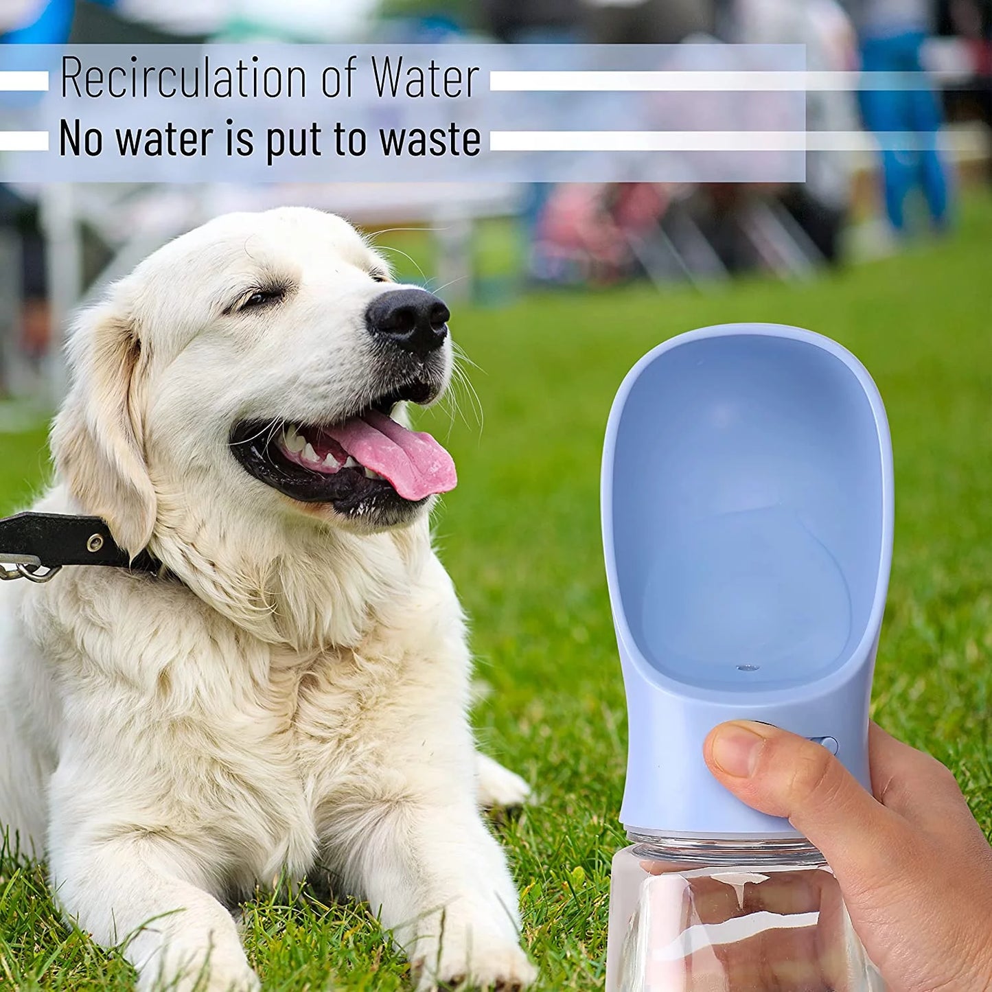 Dog Water Bottle