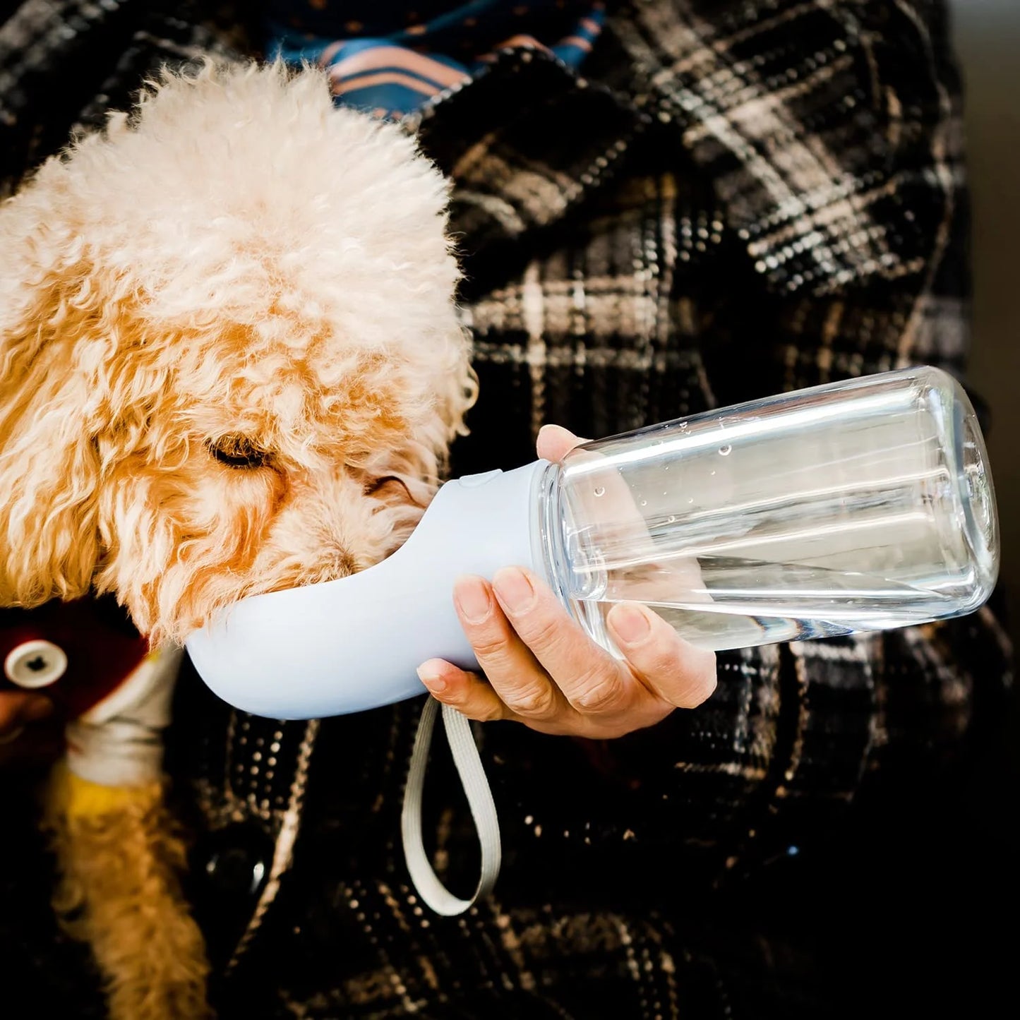 Dog Water Bottle